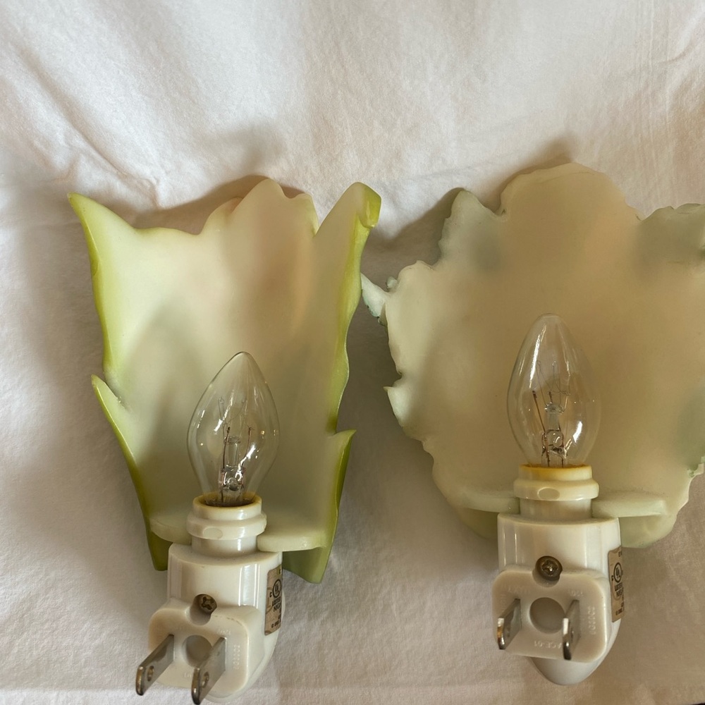 Ibis & Orchid Design   Outlet Cover/Night Lights. Tulip & Hibiscus/Hummingbird - Picture 2 of 2